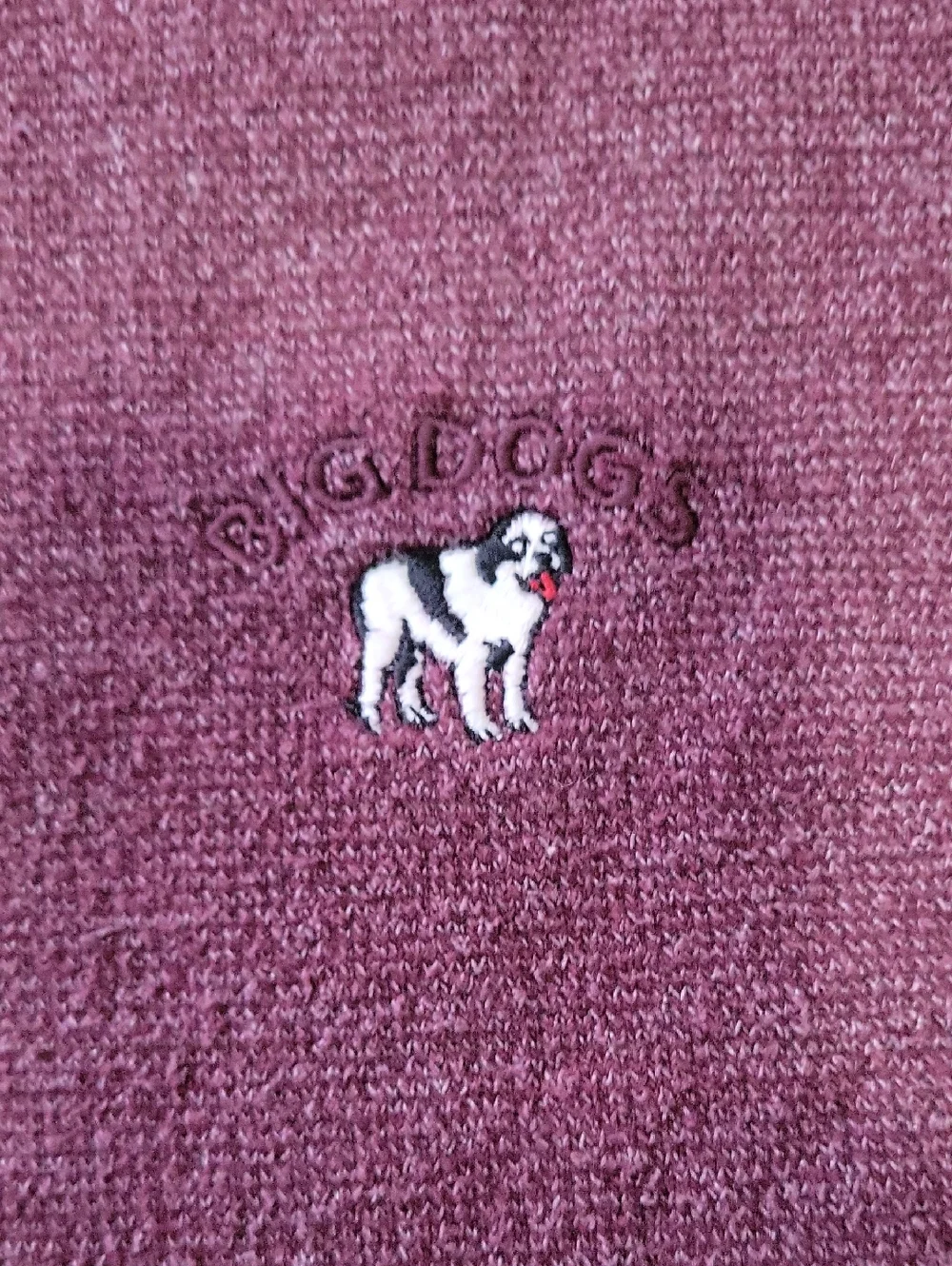 Big Dogs Men's Maroon Henley Sweater